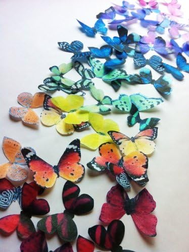 Edible Butterfly Cake Toppers – Small Size – Assorted Rainbow – Set of 50