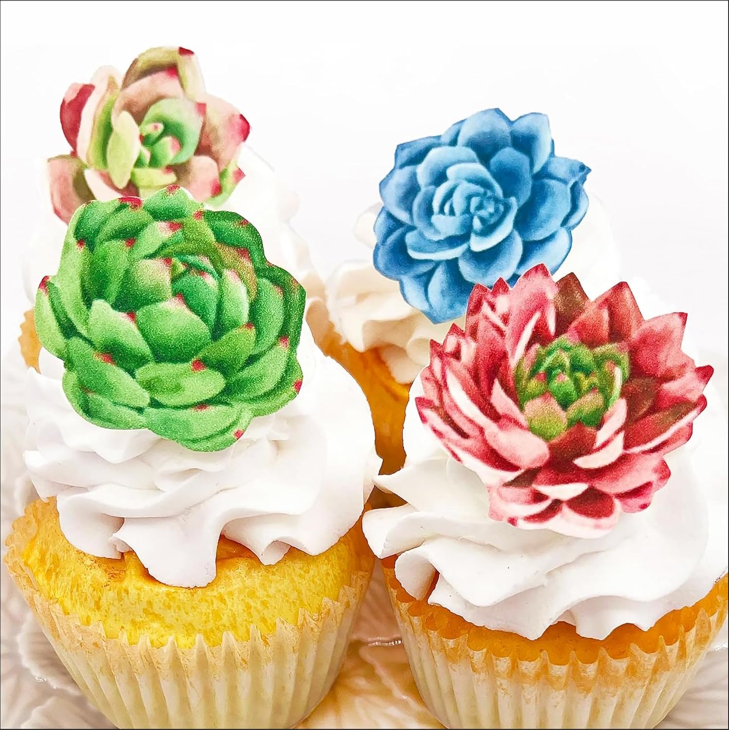 Edible Succulent Cake Toppers – Wafer Decorations for Cakes & Cupcakes