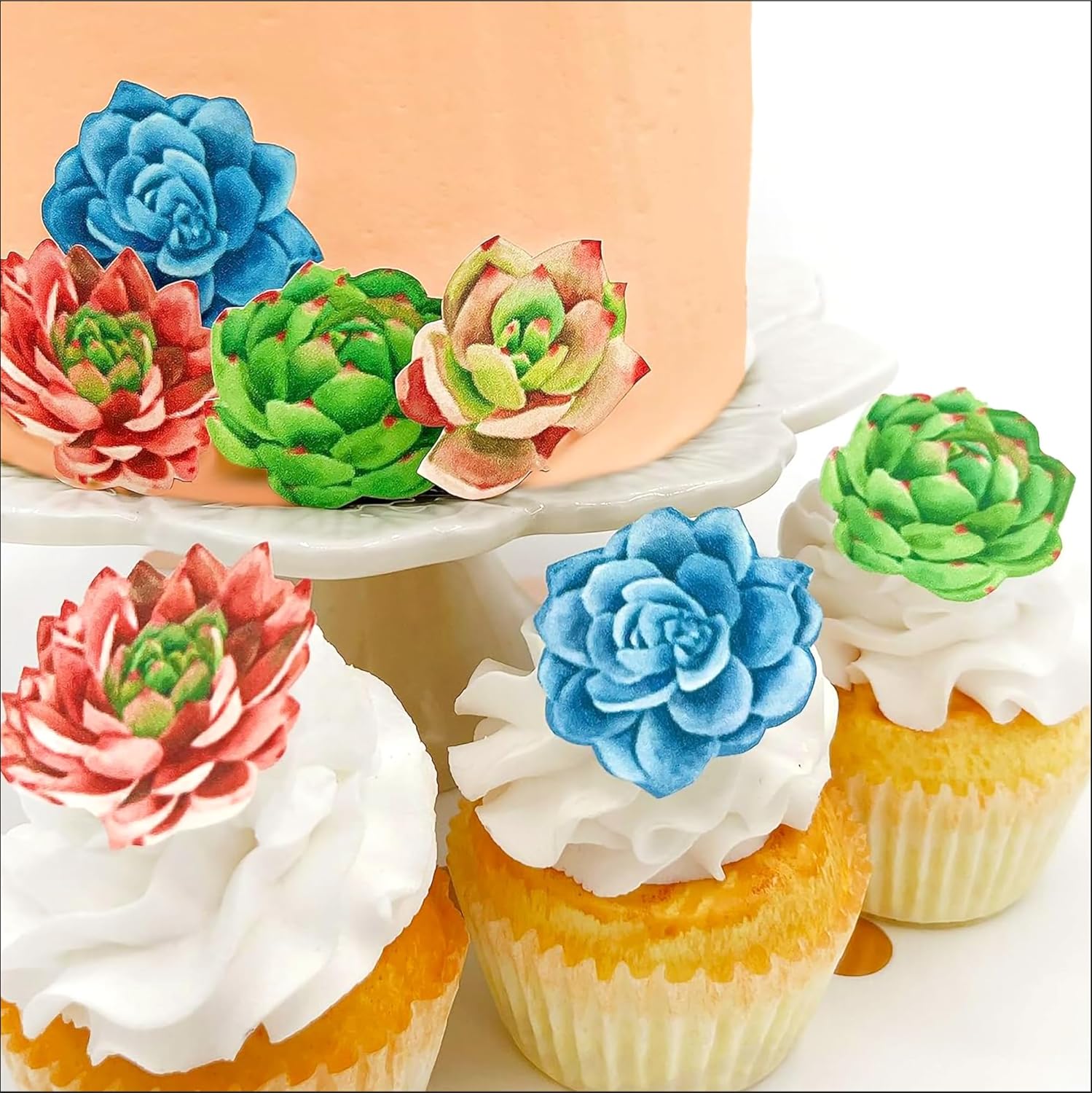 Edible Succulent Cake Toppers – Wafer Decorations for Cakes & Cupcakes